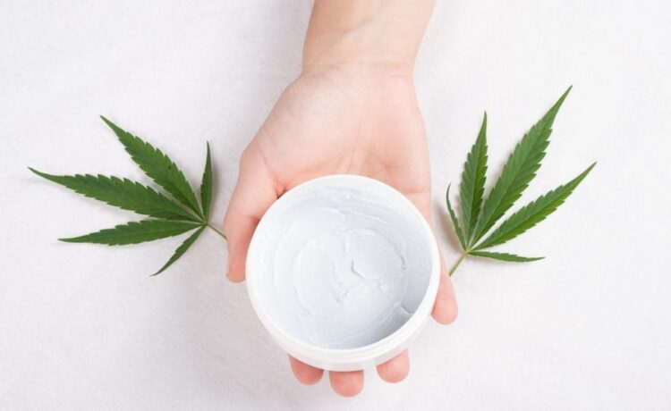 CBD Creams